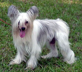 breeze1.jpg